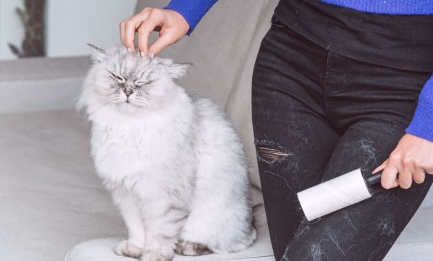 pet roller