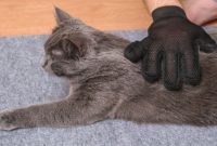 pembersih bulu kucing