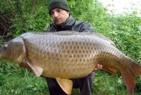 racikan umpan ikan mas