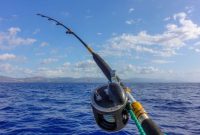 joran pancing terbaik