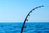 joran pancing terbaik