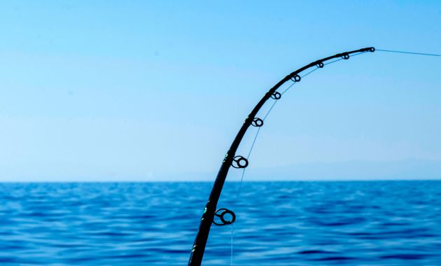 joran pancing terbaik