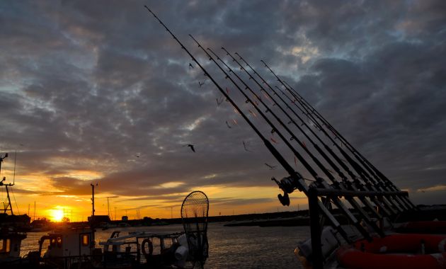 joran pancing terbaik