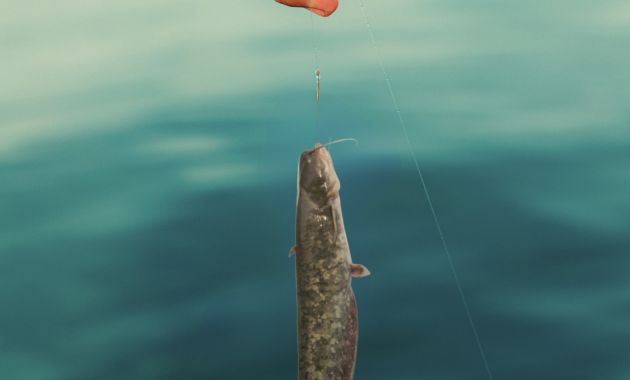 umpan ikan lele