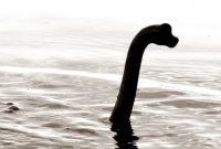 Cerita Legendaris Pemancing Ikan pemancing ikan