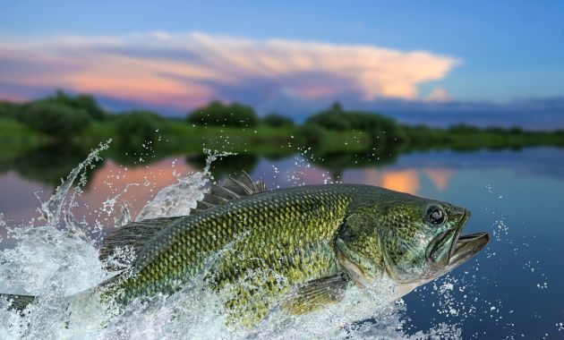 mancing di sungai