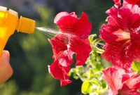 cara membuat pupuk organik cair