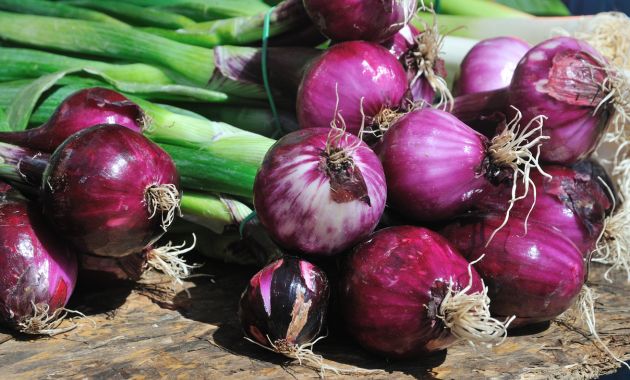 cara menanam bawang merah