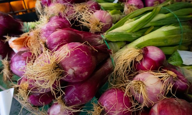 cara menanam bawang merah