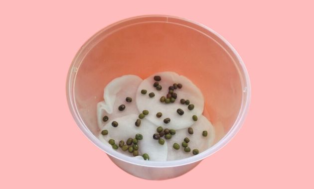 cara menanam kacang hijau