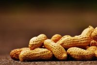 cara menanam kacang tanah